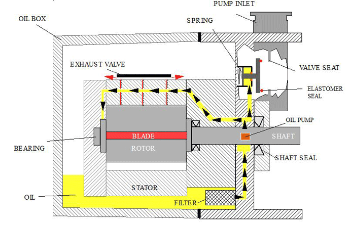 Oil Pump And Distribution System (courtesy of Edwards Vacuum) Oil Pump And Distribution System (courtesy of Edwards Vacuum)