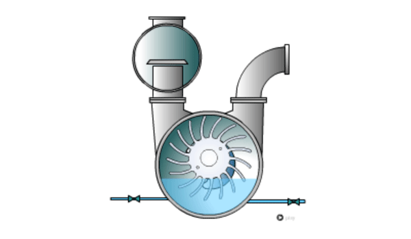 Cross-Section Of A Typical Ring Pump (Illustration Courtesy of Edwards) Cross-Section Of A Typical Ring Pump (Illustration Courtesy of Edwards)